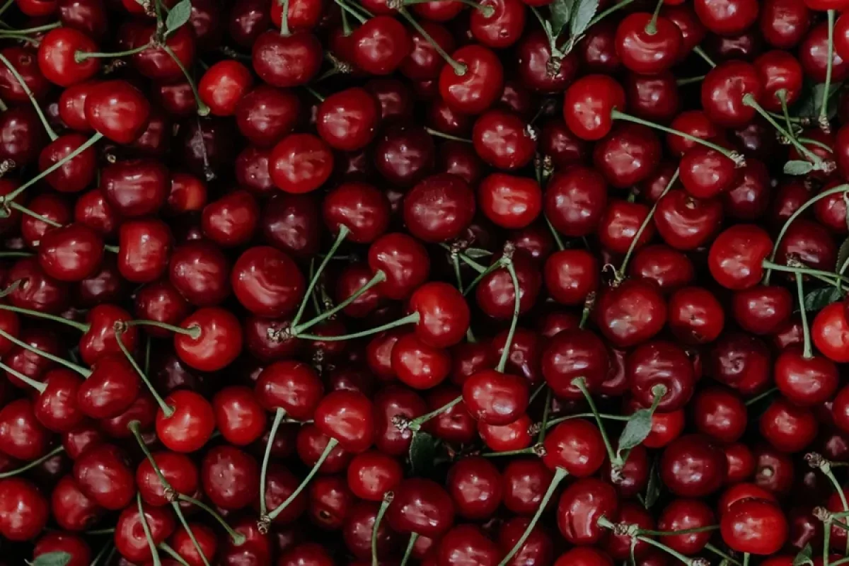 Bu meyvə od bahası oldu