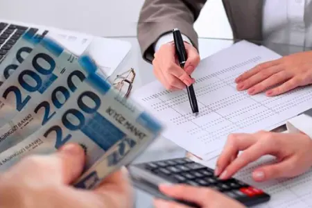 Problemli kreditlərin həcmi niyə artır?