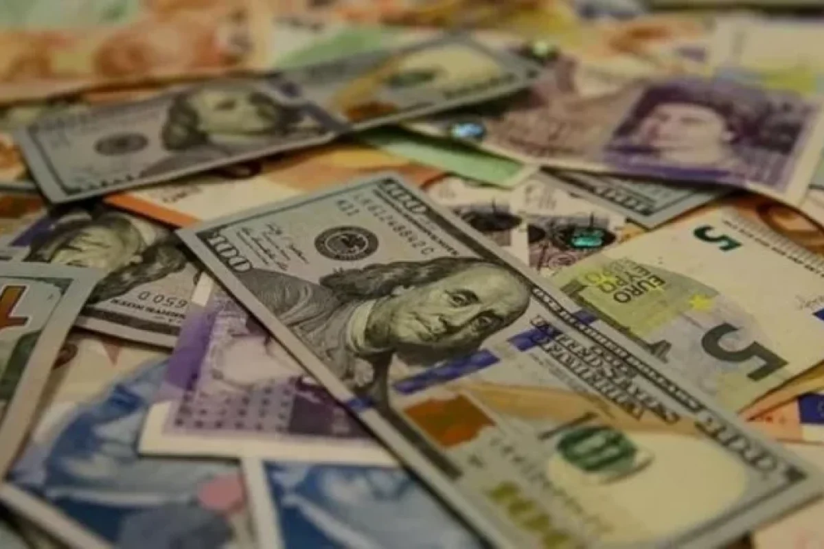 Almaniyada bu tarixdən sonra nağd pul LƏĞV OLUNACAQ