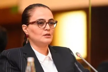 Elçin Əfəndiyev Azərbaycan ədəbiyyatında silinməz iz qoyub - Nazir müavini