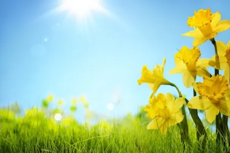 Naxçıvanda 41 dərəcə isti olub - FAKTİKİ HAVA