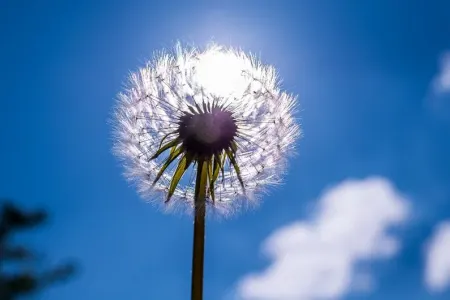 Ötən ay havanın temperaturu iqlim normasından yuxarı olub - RƏSMİ