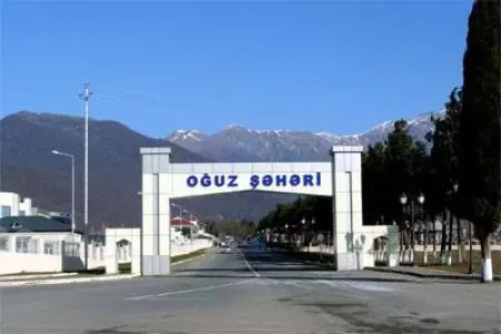 Oğuzda ruhi xəstə balta ilə insanlara hücum edir