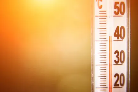 Bakıda 40 dərəcə isti oldu