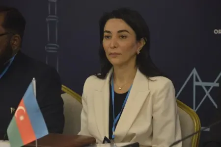 Ombudsman beynəlxalq təşkilatlara çağırış etdi