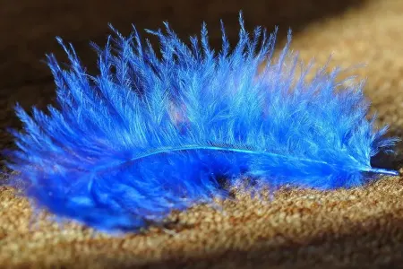 Evdar qadınlar belə edir: - 3 dəqiqə ərzində xalçada nə toz, nə də tük qalacaq