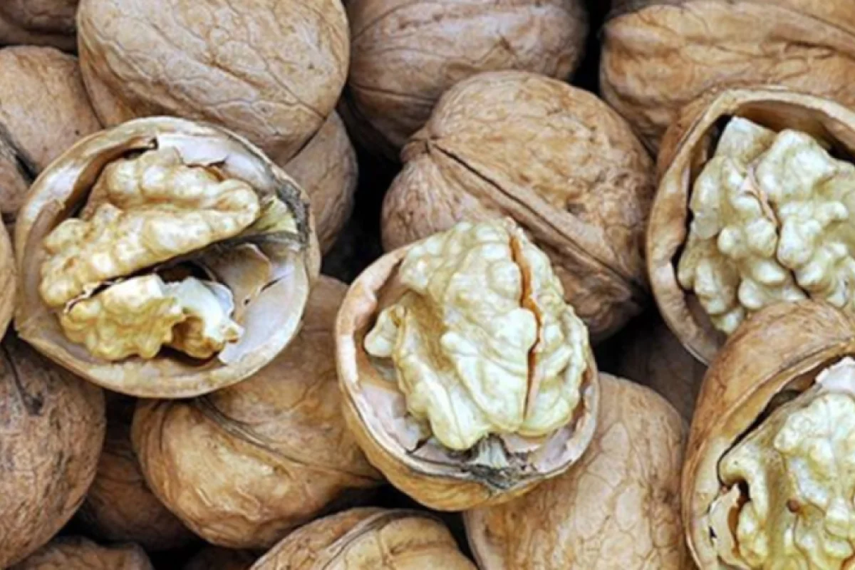 Yaddaşınız gücləndirmək, depressiyadan uzaq olmaq istəyirsinizsə, - bunları oxuyun!