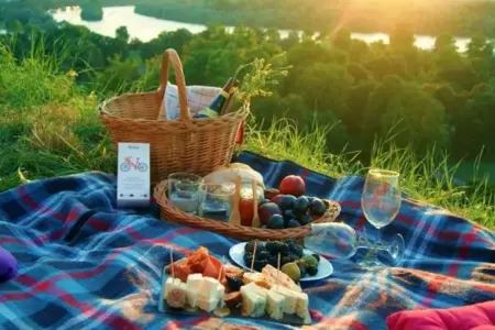 Nəbatat Bağında piknik sahəsi bağlandı - SƏBƏBİ