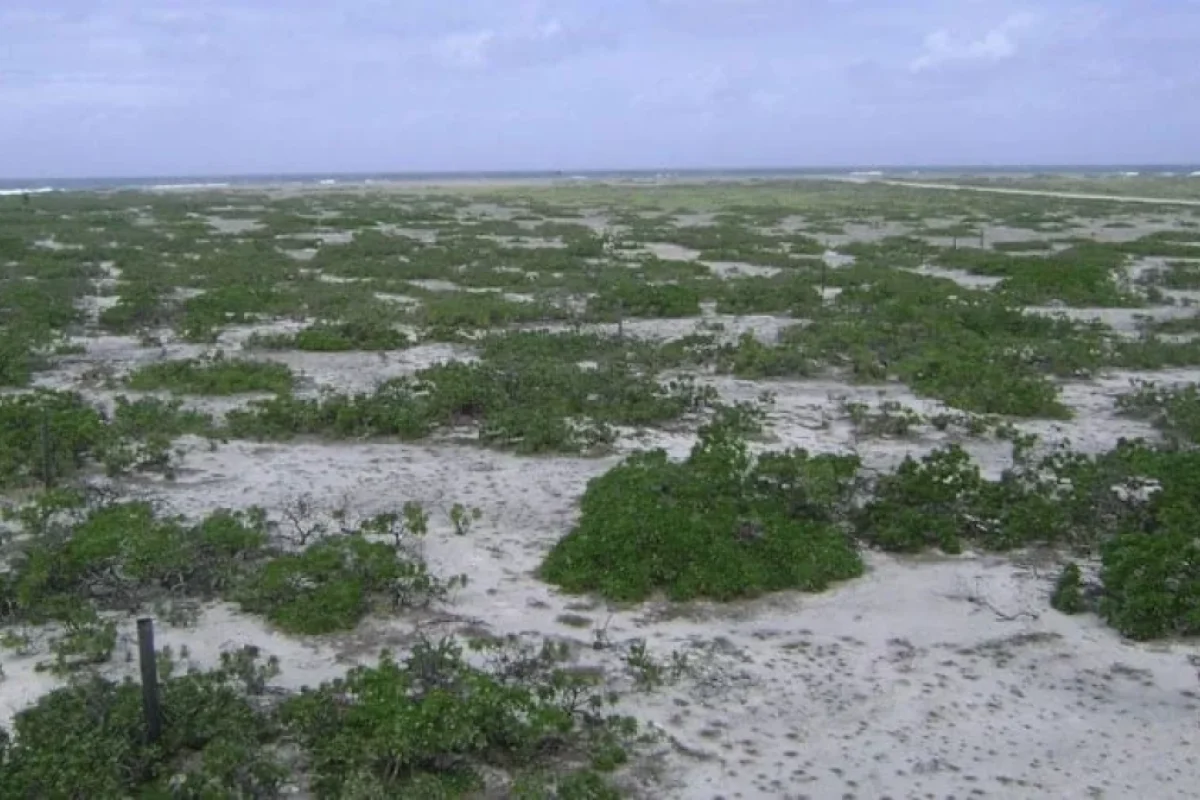 Bu adada 15 il sağ qalmaq üçün mübarizə - APARDILAR