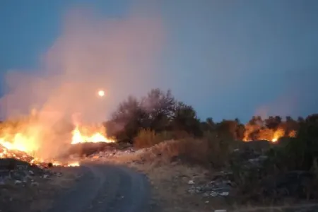 Qəbələdə yanğın törədən şəxs saxlanıldı