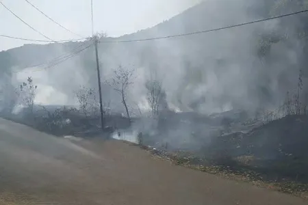 Qəbələdə yanğın törədən şəxslər müəyyən edildi