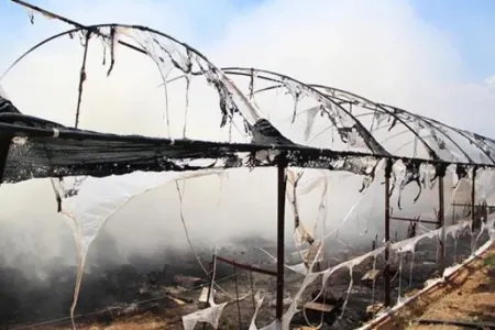 Şəmkirdə istixana yandı