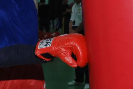 Yaponiyada eyni turnirdə iştirak edən iki boksçu ölüb