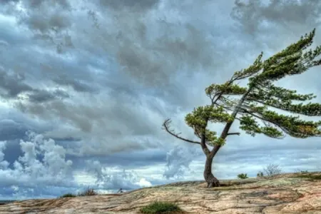Bəzi yerlərdə şimal-qərb küləyi əsir - FAKTİKİ HAVA