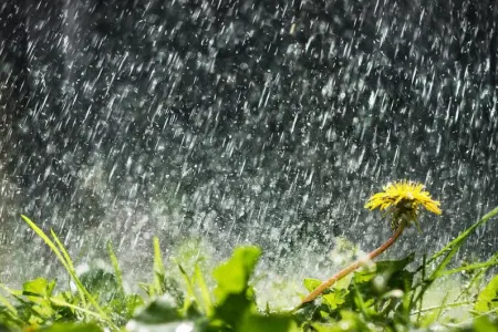 Sabah Bakıda və rayonlarda şimşək çaxacaq, leysan yağacaq