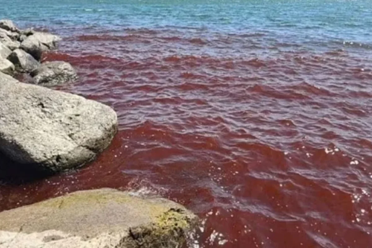 İsraildə göl bir anda qırmızıya boyandı