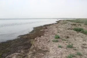 Coğrafiya İnstitutu: Xəzərin Qoltuq körfəzində dəniz 1,5–2 km geri çəkildi - Fotolar