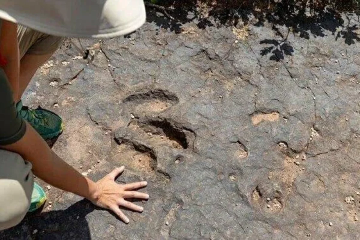 110 milyon illik dinozavr izləri ÜZƏ ÇIXDI