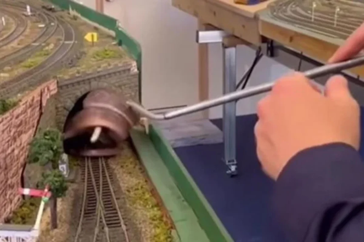 Avstraliyada oyuncaq qatarın içindən zəhərli ilan TAPILDI