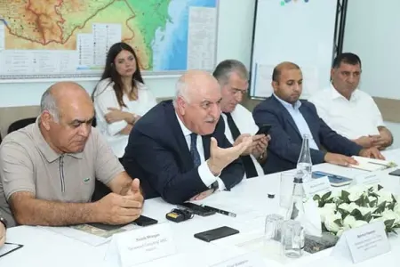 Bu ərazidəki ağaclar köçürüləcək - Fotolar