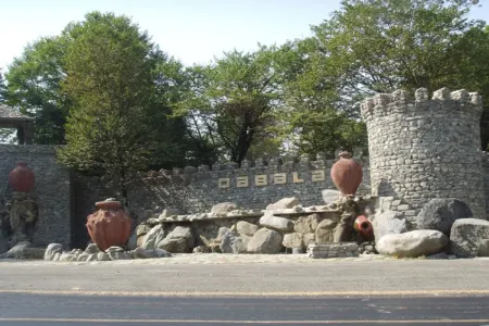 Qəbələdə dağlıq ərazidə köməksiz vəziyyətdə qalan qadın xilas edilib