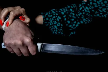 Azərbaycanda ötən il cinayət törədən kişi və qadınların sayı açıqlandı