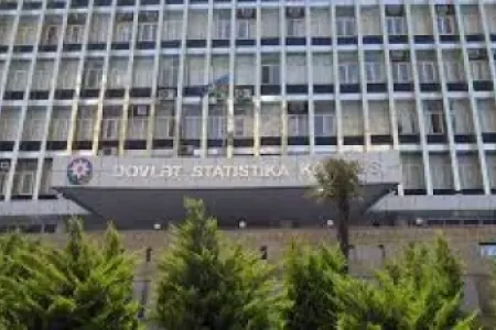 Azərbaycanda 300-dən çox şəxs avtoqəzalarda - həlak olub