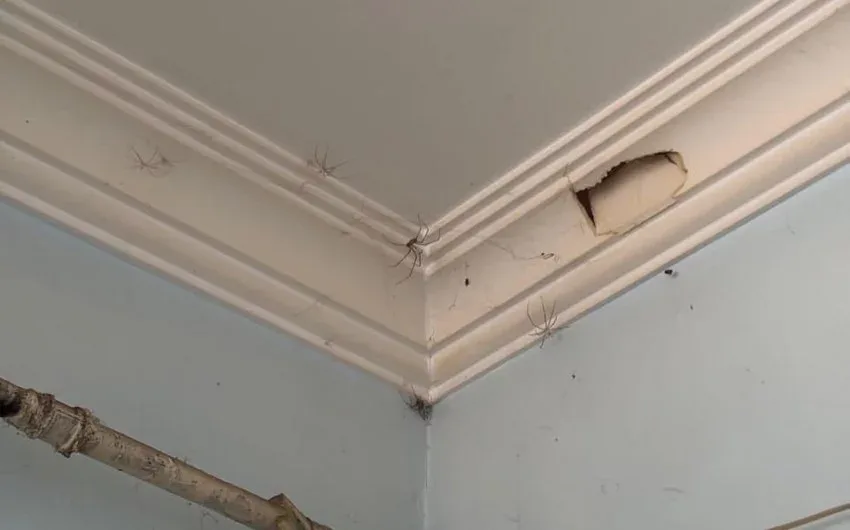 Azərbaycanda bu kafenin fəaliyyəti DAYANDIRILDI