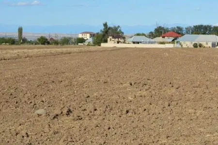 Diqqət! Bu rayona köçənlərə 5 hektar torpaq veriləcək