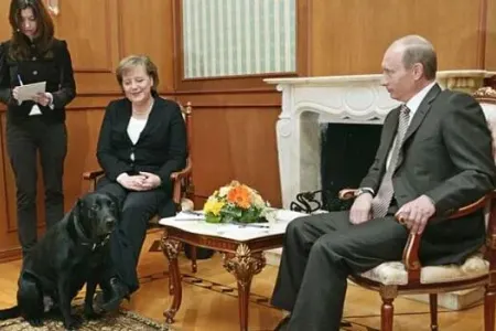 Putin Merkellə görüşə itini gətirmişdi, Trampla isə… - KİV