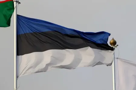 Estoniya hökuməti vətəndaşlarını Rusiyaya səfərdən imtina etməyə çağırdı