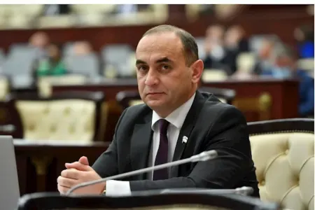 Ərəb turistlərin etdiyi əməl... - Deputat "ifrata varmamalıyıq" deyir