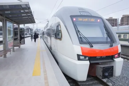 Qatarlar təsərrüfat heyvanları ilə 27 dəfə toqquşub