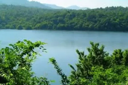 Masallıda - FACİƏ