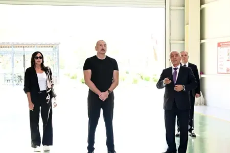 Kəlbəcərin Vəng kəndində üç kiçik su elektrik stansiyalarının açılışı oldu - YENİLƏNDİ