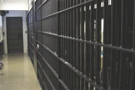 Məşhur "qanuni oğru" həbs edildi