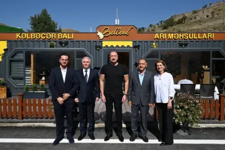 Prezident “Balland-Kəlbəcər balı, arı və arıçılıq məhsulları mağazası”nın açılışında iştirak etdi - YENİLƏNİB/FOTO