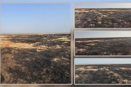 Cəlilabadda yanğın törədən şəxs məsuliyyətə cəlb edildi