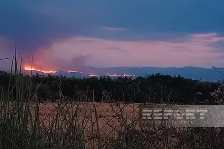 Ağdərədə baş verən meşə yanğını küləyin təsirilə Ağdama yayıldı