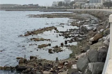 Xəzərin səviyyəsi sürətlə enir - XƏBƏRDARLIQ