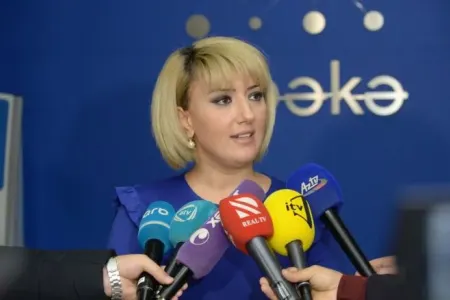 Günel Gözəlovaya yeni vəzifə verildi – AHİK-də təyinat