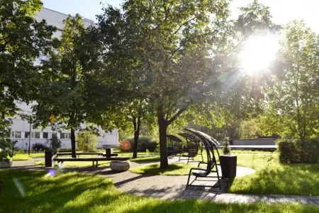 Həyətinizə əkdiyiniz bu ağaclar Bədbəxtlik gətirirmiş - ADLAR