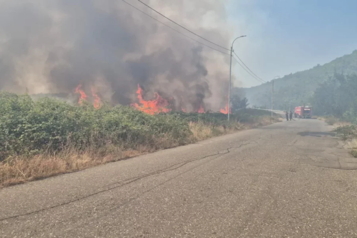 Xocavənddə yanğına səbəb olan şəxs tutuldu