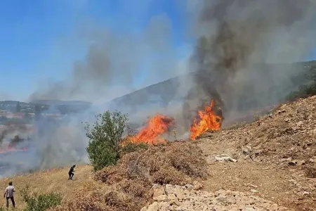 Dağlıq ərazidə yanğın başladı