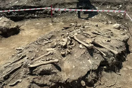 Ağdərədə meşədə insan sümükləri - tapıldı