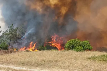 Xocavəndin iki kəndində yanğın başladı