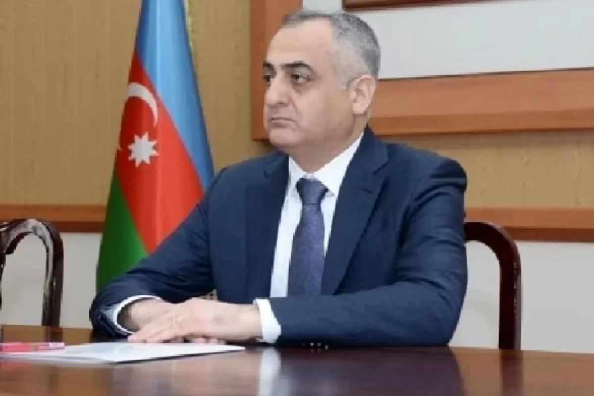 "Zəngəzur dəhlizinin açılması Naxçıvan üçün tarixi təcridin ləğvi olacaq" - Fuad Nəcəfli