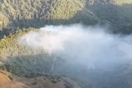 Ağstafada meşə yanğını başladı