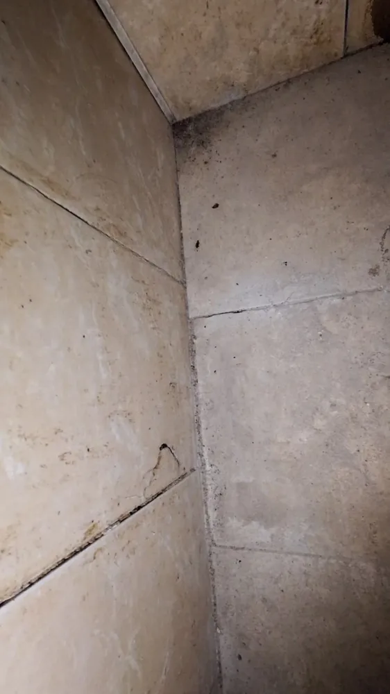 Kəngərlidə çörək sexinin fəaliyyəti DAYANDIRILDI