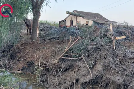41 yaşlı fermeri “tok” vurub öldürdü